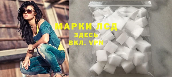 гидра Абаза