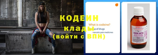 гидра Абаза